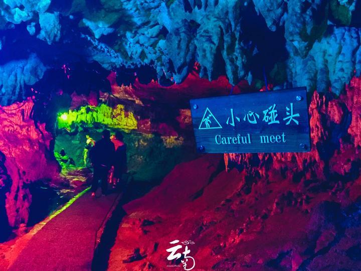 蝴蝶领结